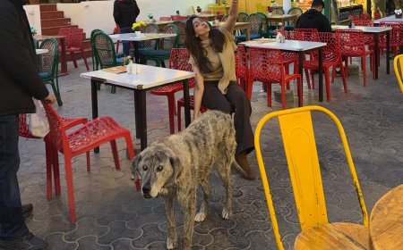 Kashika Kapoor Speaks Up for Stray Dogs: "They Only Need Love, Food, and Protection