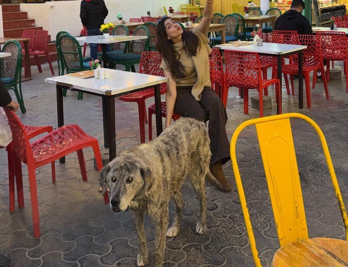 Kashika Kapoor Speaks Up for Stray Dogs: "They Only Need Love, Food, and Protection