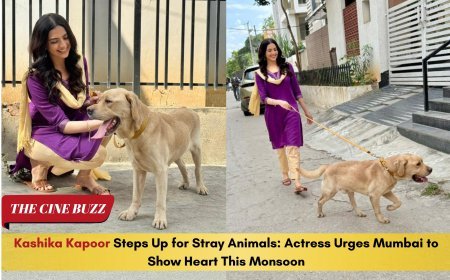 Kashika Kapoor Steps Up for Stray Animals: Actress Urges Mumbai to Show Heart This Monsoon