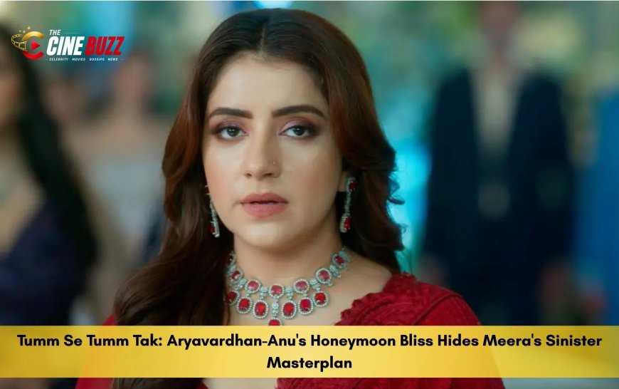 Tumm Se Tumm Tak: Aryavardhan-Anu's Honeymoon Bliss Hides Meera's Sinister Masterplan