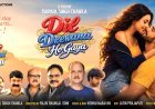 Dil Deewana Ho Gaya Review: A Simple Love Story That Wins on Heart, Not Hype