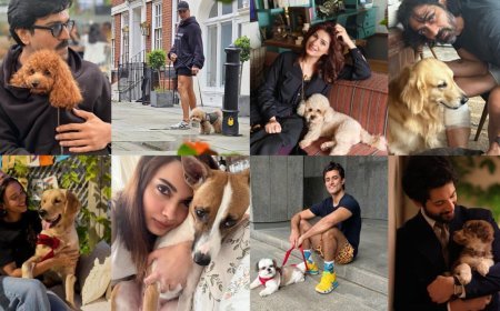 International Dog Day: Celebrities Who Are Proud Parents to Their Adorable Fur Babies