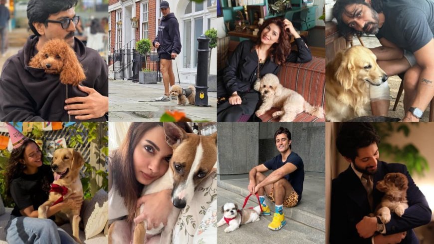 International Dog Day: Celebrities Who Are Proud Parents to Their Adorable Fur Babies