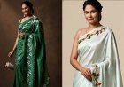 The Magic of Rupali Suri’s Sarees: Celebrating Navratri in Vibrant Colors and Style